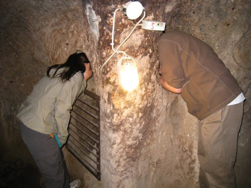 Ventilation shaft