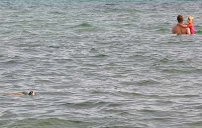 DSC_4248 DSC_4248