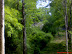 DSC01117.JPG
