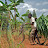 Two youth pushing bicycle with a load of grass Two youth pushing bicycle with a load of grass