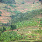 Agricultural rural Rwanda Agricultural rural Rwanda