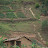 Agricultural rural Rwanda Agricultural rural Rwanda