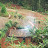 Rural Rwanda farmstead Rural Rwanda farmstead