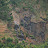 Agricultural rural Rwanda Agricultural rural Rwanda