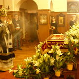 SN851619.JPG