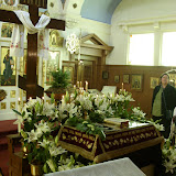 SN851703.JPG