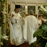SN851805.JPG
