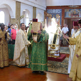 SN853206.JPG