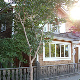 SN853309.JPG