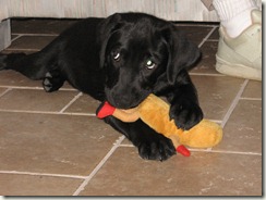 IMG_0353 IMG_0353