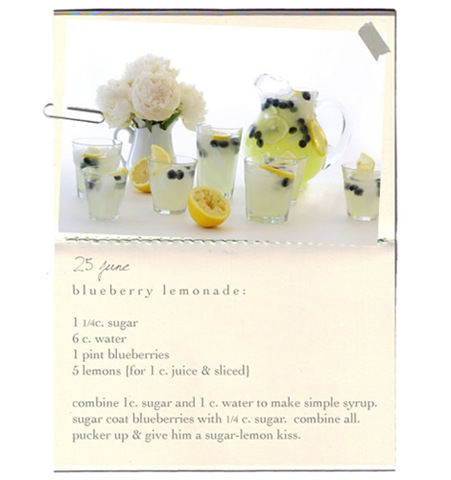 [blueberry lemonade[6].jpg]
