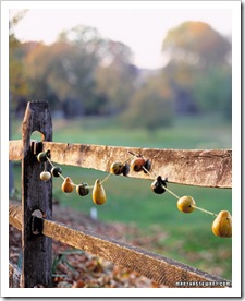 gt02novmsl_gourds02_xl
