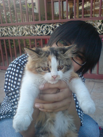 [DSC01757[2].jpg]