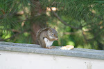 IMG_0003.JPG