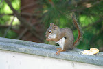 IMG_0005.JPG