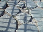 DSC05699.JPG