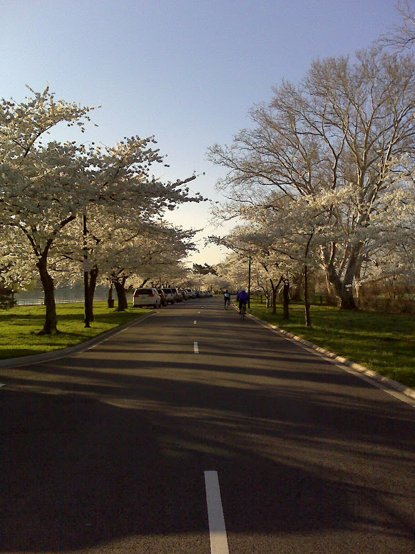 Haines Point