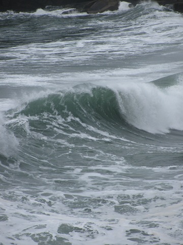 [Homeschool, Lincoln City, Depot Bay, Spout, Unschool-1.jpg]