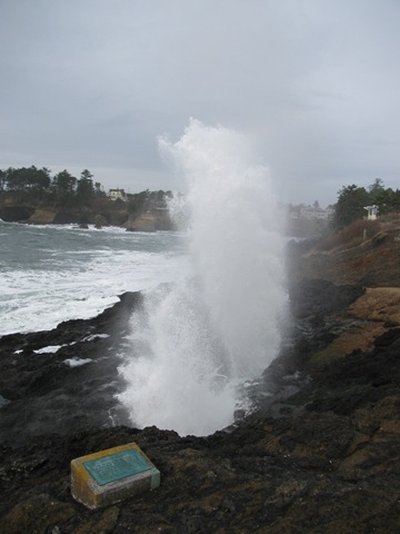 [Homeschool, Lincoln City, Depot Bay, Spout, Unschool-7.jpg]