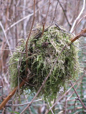 [Homeschool,-Lincoln-City,-N[6].jpg]