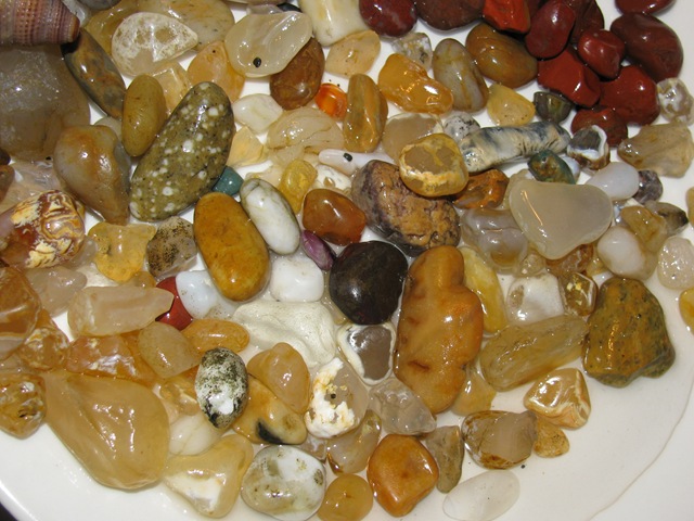 [beachcousin0112.jpg]