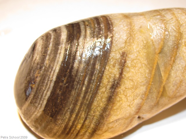 [RocksDAlexander0205.jpg]