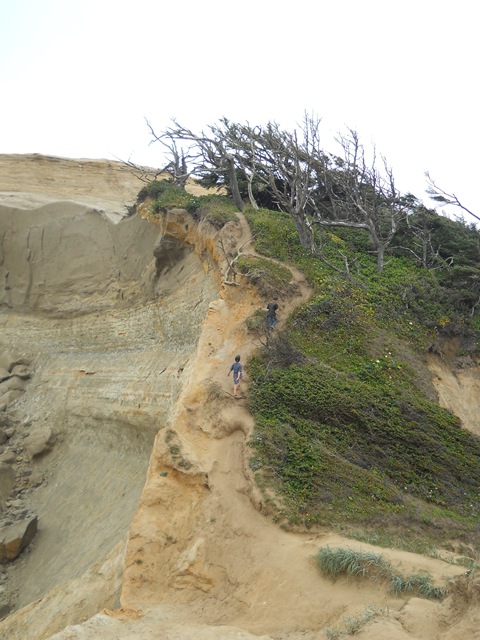 [CapeKawandaHikesandViews182.jpg]