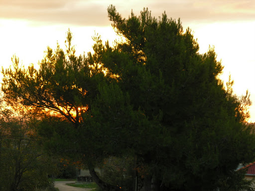DSCN0584.JPG