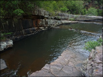 P1020241 P1020241