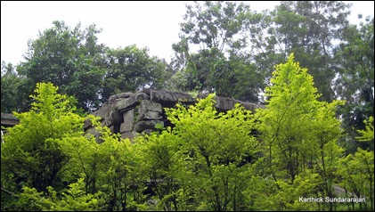 IMG_0069 IMG_0069
