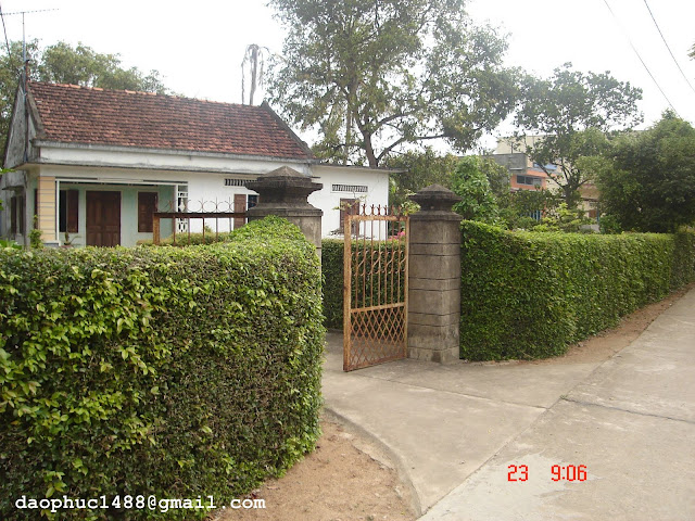 Hình ảnh
