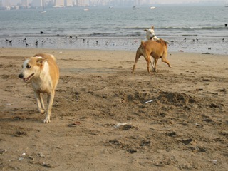 [IMG_49954.jpg]