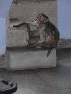 [P32727144.jpg]