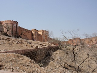[P32727204.jpg]
