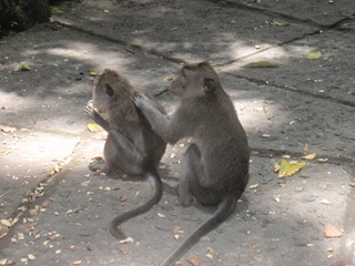 [PA080664[2].jpg]