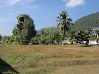 [PB2511034.jpg]