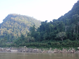 [PC0811654.jpg]