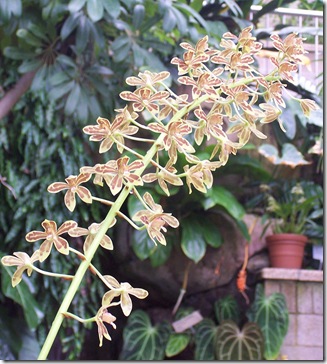 rbg 046