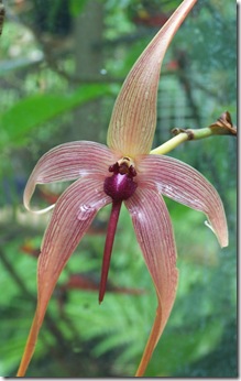 rbg 058