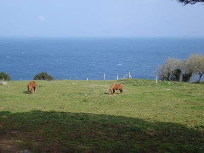 DSC04052.JPG