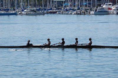 men's lightweight four+ on the water