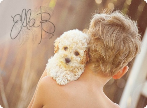dog dog
