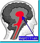 triunebrainRept