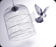 bird_cage