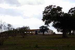 Senda Arroyo Cañadabélmez