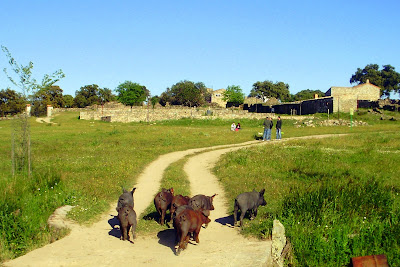 venta del cerezo