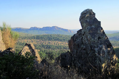 Castillo del Viñón