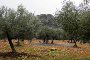 La Sierra de Santa Eufemia