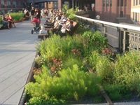 parque de nueva york 