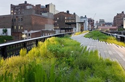 parque de nueva york 7